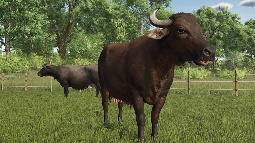 FS25 Buffalos