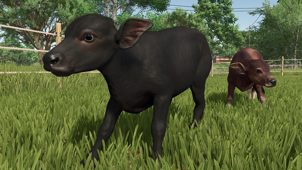 FS25 Buffalos