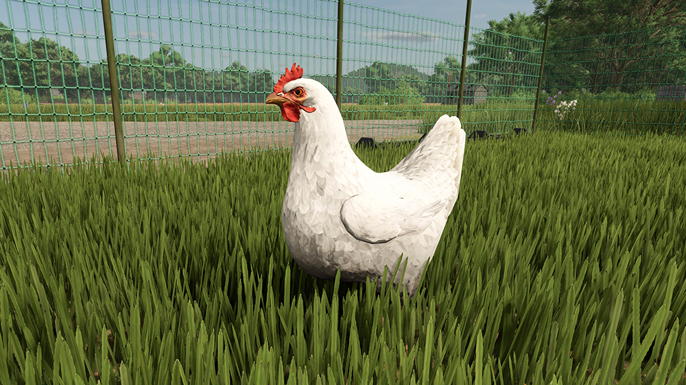 FS25 Chickens