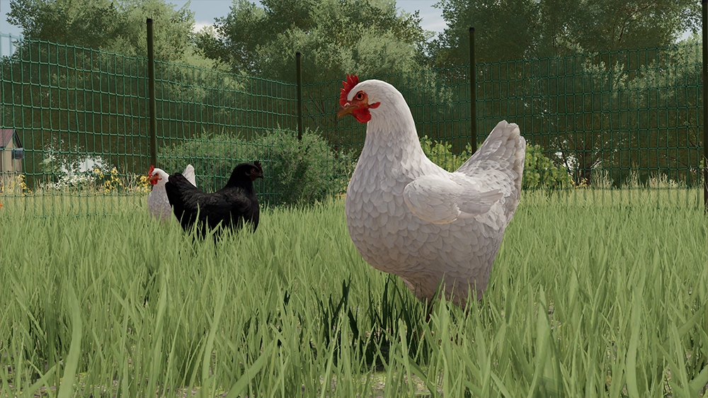 FS22 Chickens