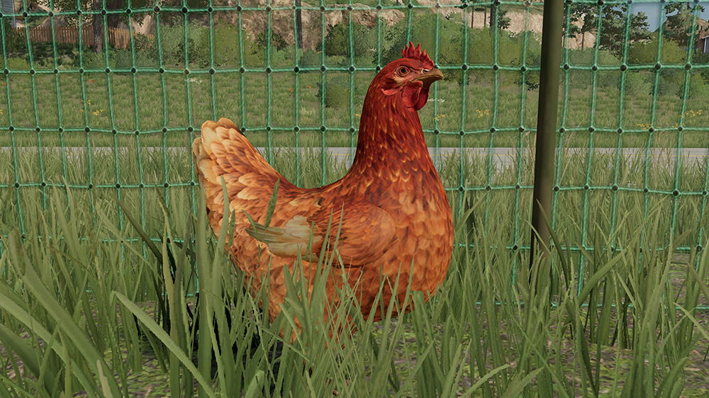 FS23 Chickens