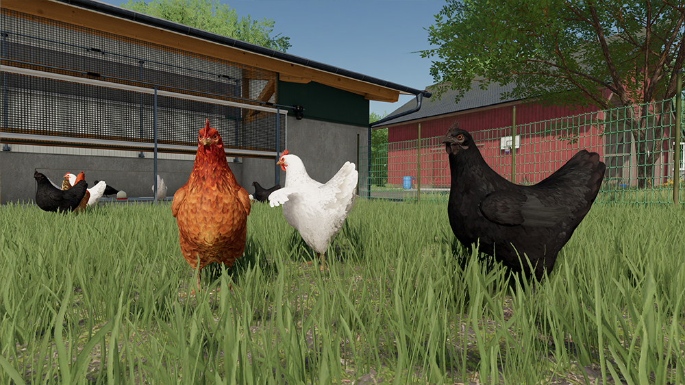 FS22 Chickens