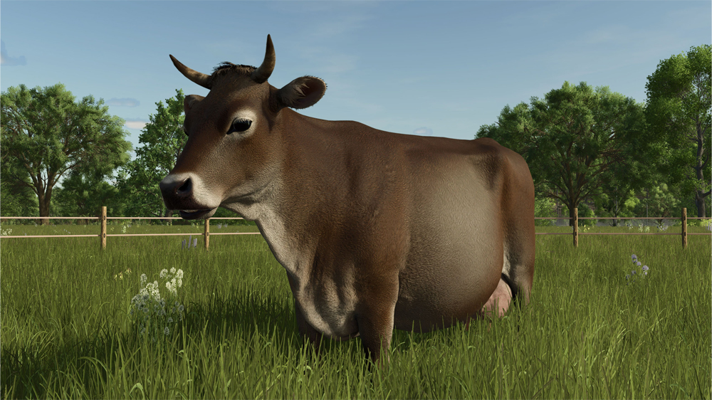 FS25 Cows