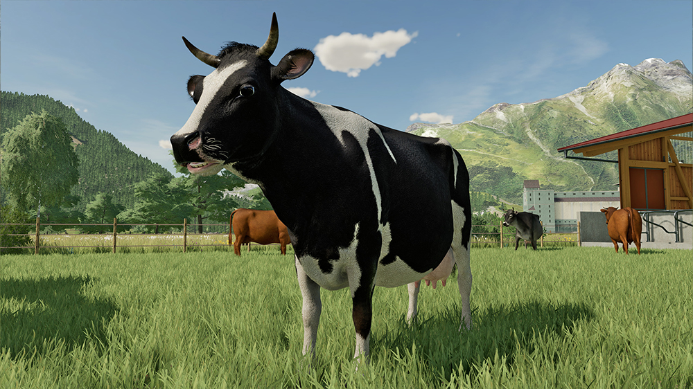 FS22 Cows