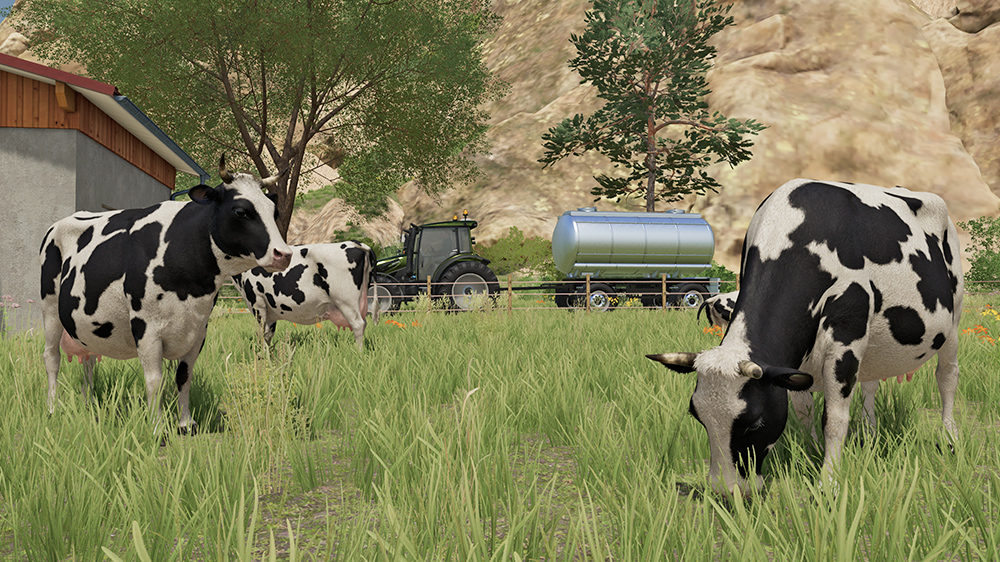FS23 Cows