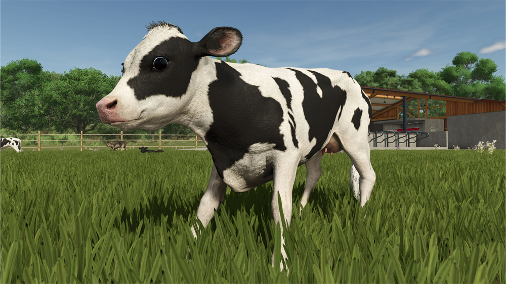 FS25 Cows