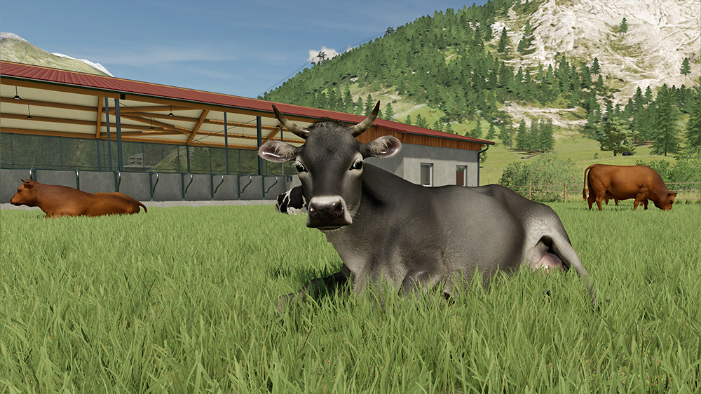 FS22 Cows