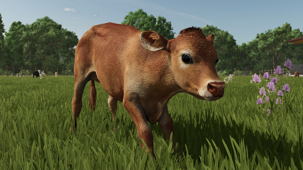 FS25 Cows
