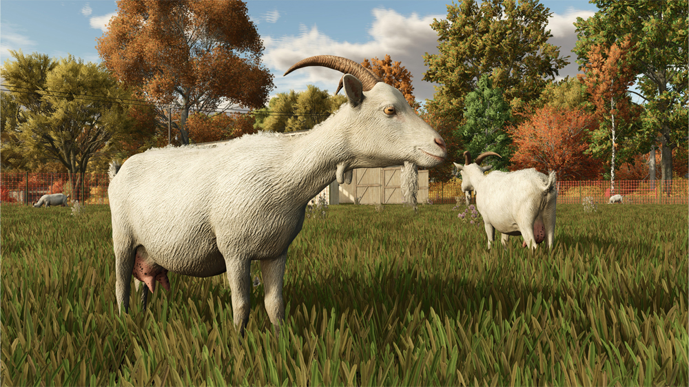 FS25 Goats