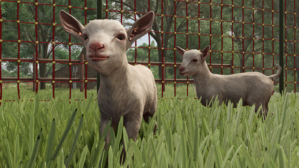 FS25 Goats