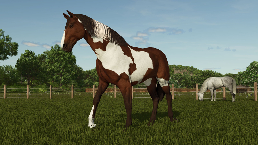 FS25 Horses