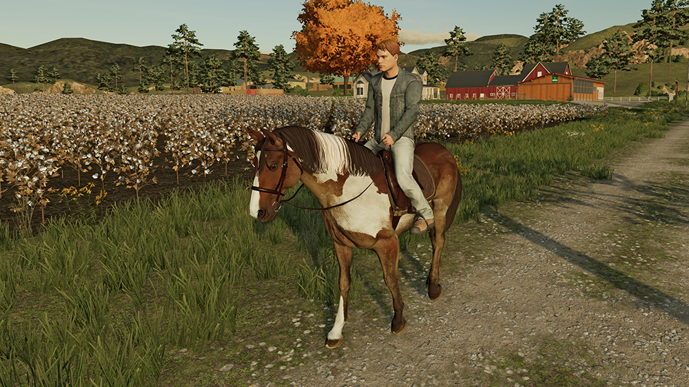 FS23 Horses