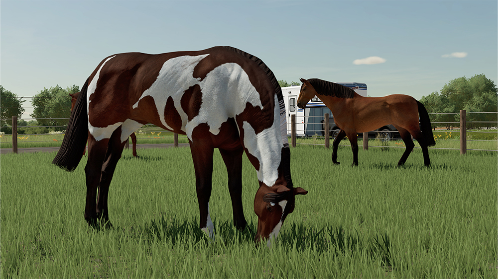 FS22 Horses