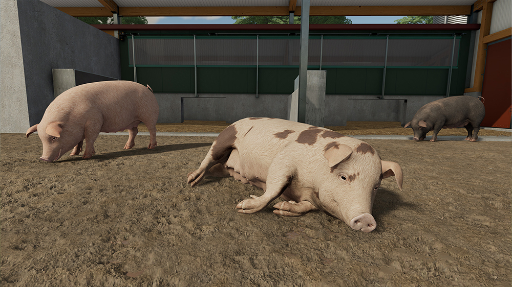 FS22 Pigs