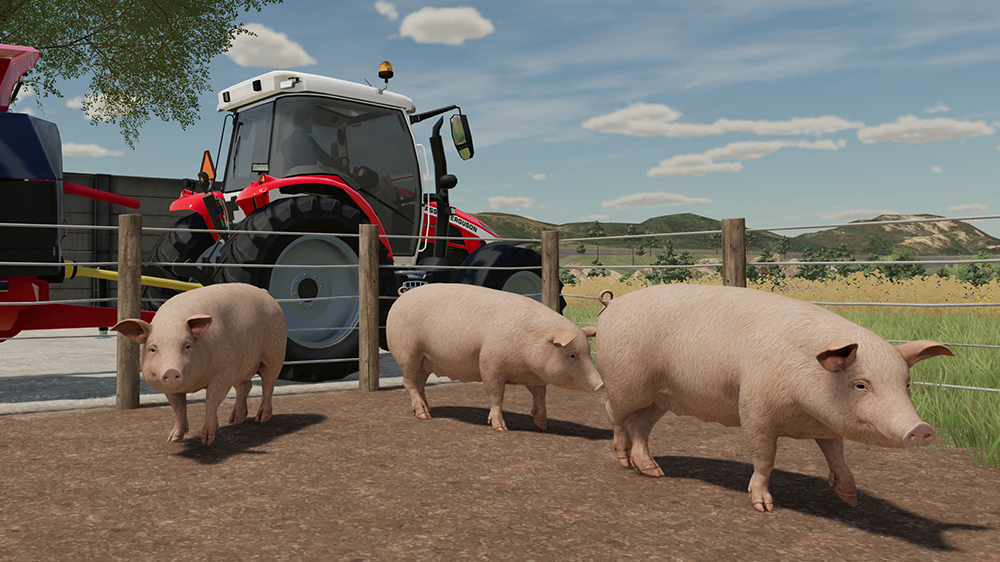 FS23 Pigs