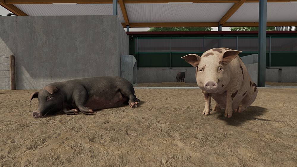 FS22 Pigs