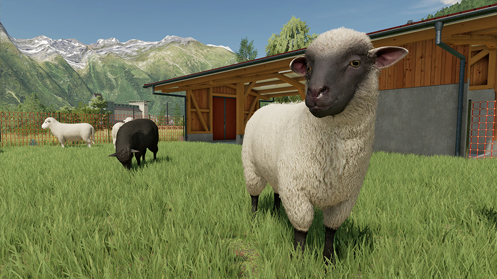 FS22 Sheep
