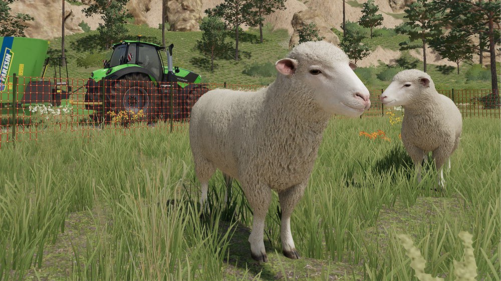 FS23 Sheep