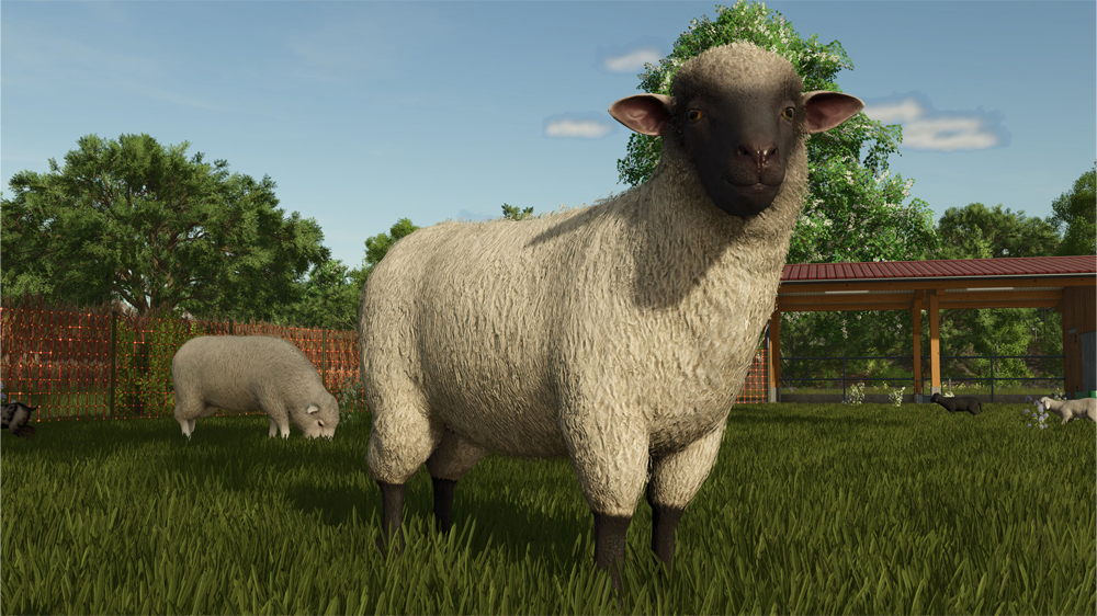 FS25 Sheep