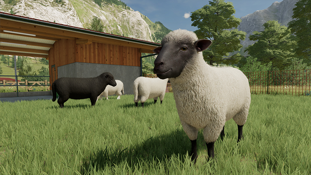 FS22 Sheep