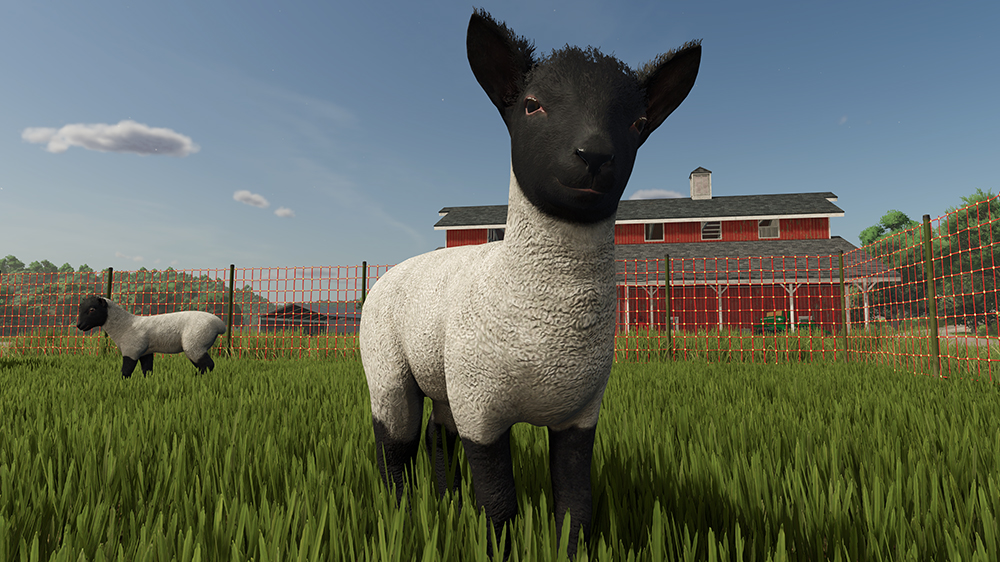 FS25 Sheep