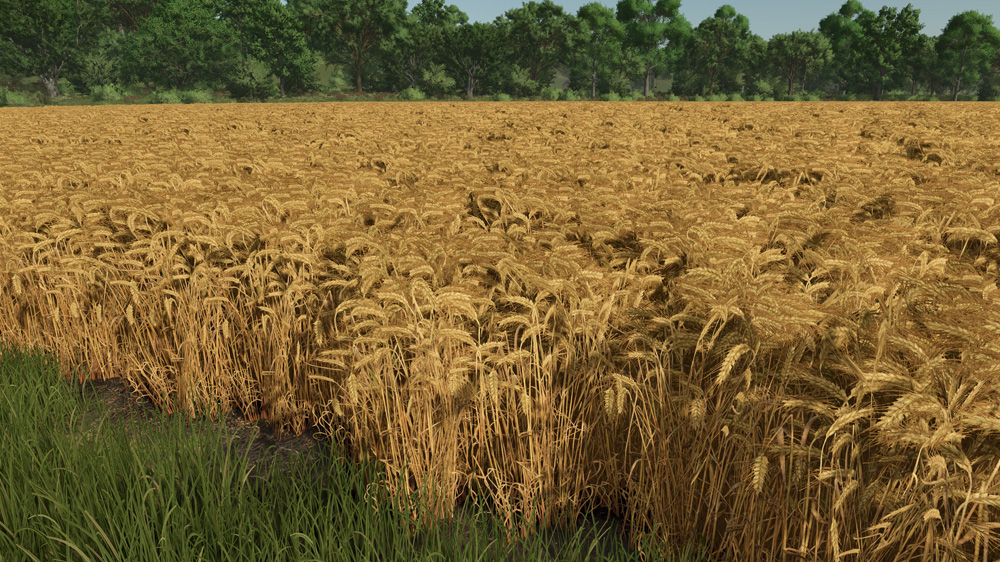 FS25 Barley