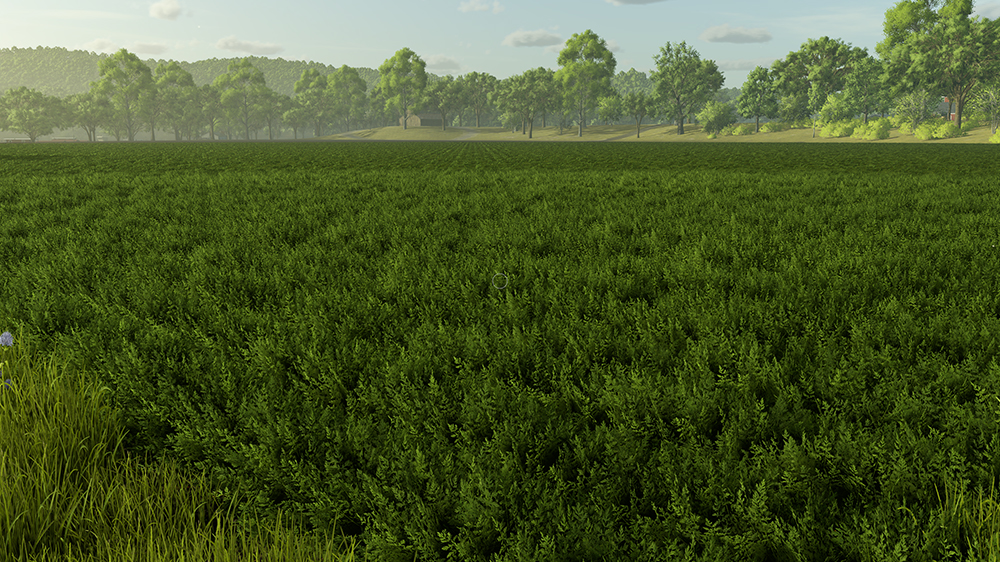 FS25 Carrots