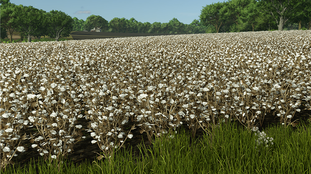 FS25 Cotton
