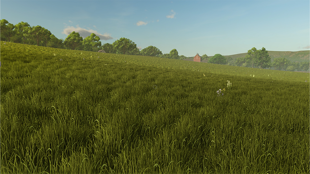 FS25 Grass