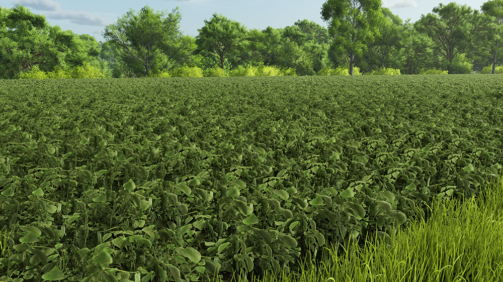 FS25 Green Beans