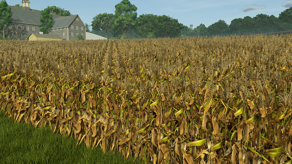 FS25 Corn