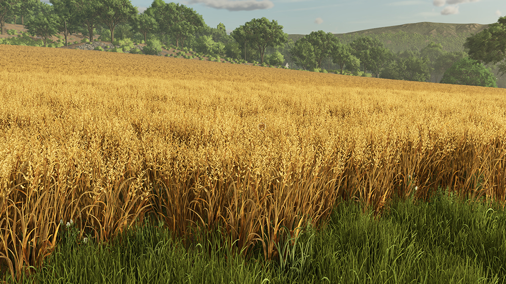 FS25 Oat