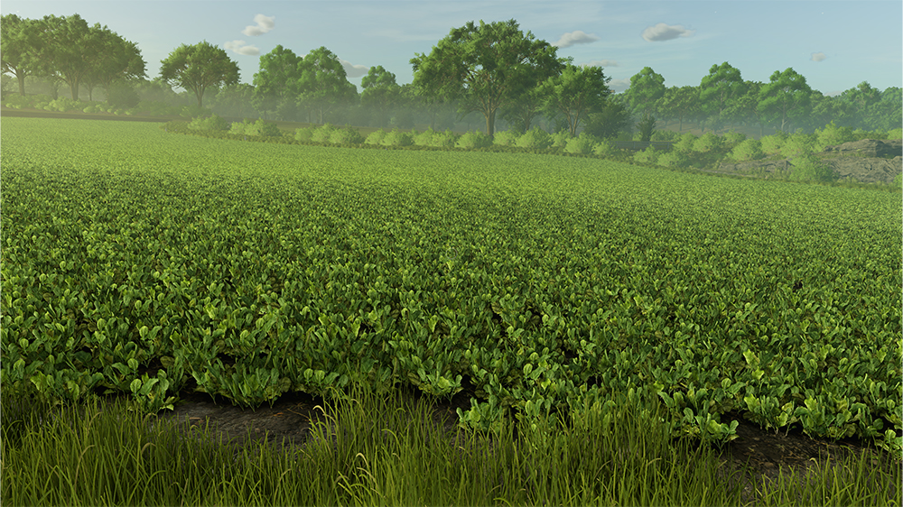 FS25 Oilseed Radish