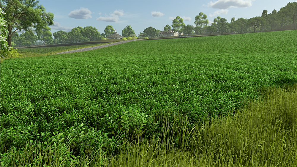 FS25 Parsnips