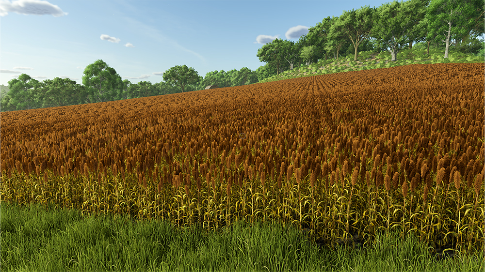 FS25 Sorghum