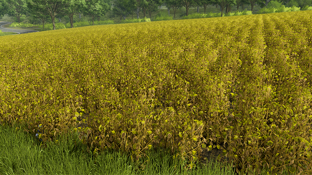 FS25 Soybeans