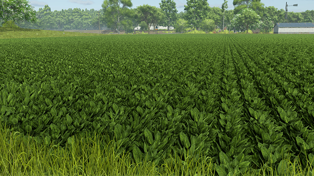 FS25 Spinach
