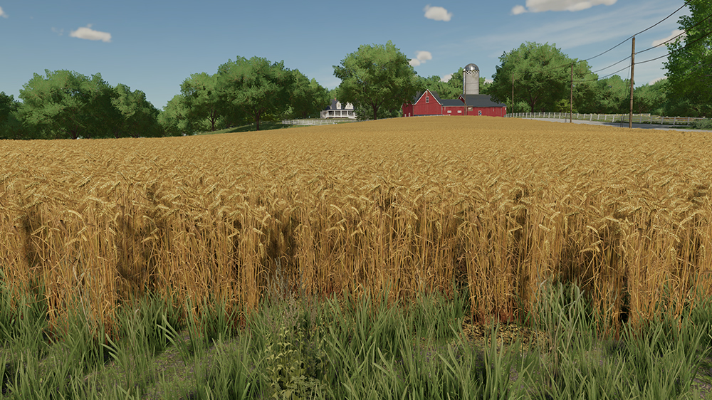 FS22 Barley