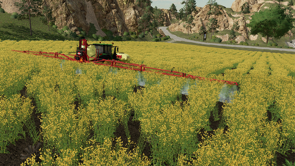 FS23 Canola