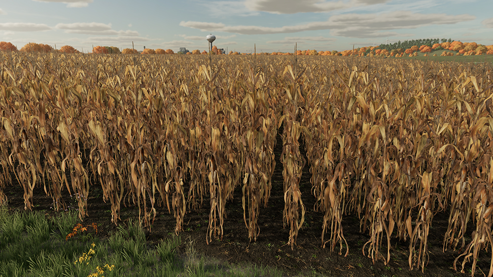 FS22 Corn