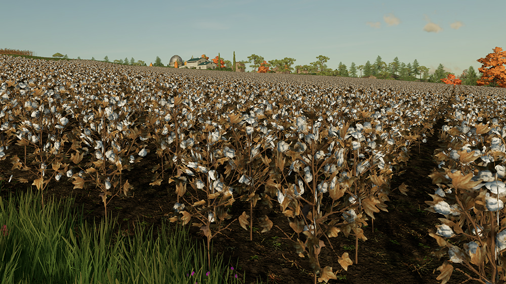 FS22 Cotton