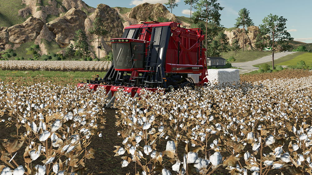 FS23 Cotton
