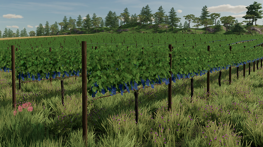 FS22 Grapes