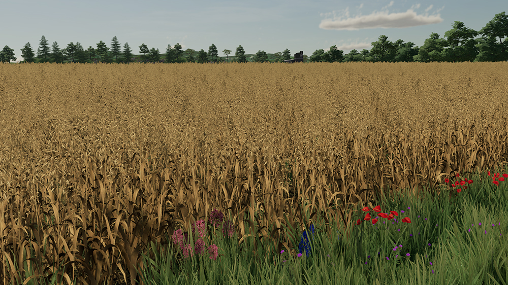 FS22 Oat