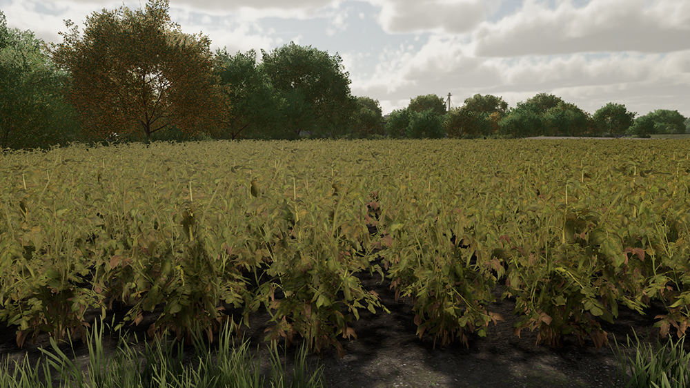 FS22 Potatoes