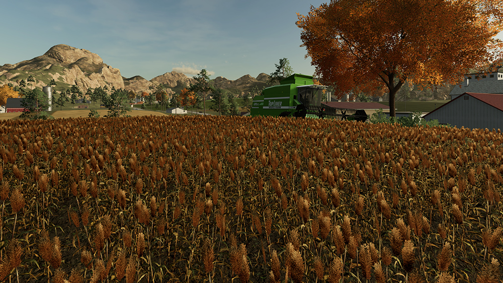 FS23 Sorghum