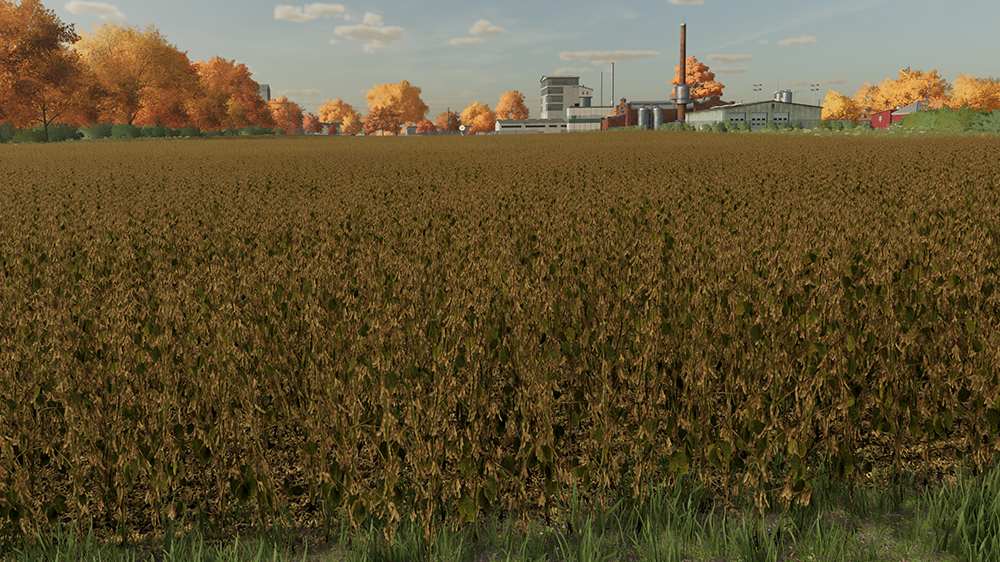 FS22 Soybeans