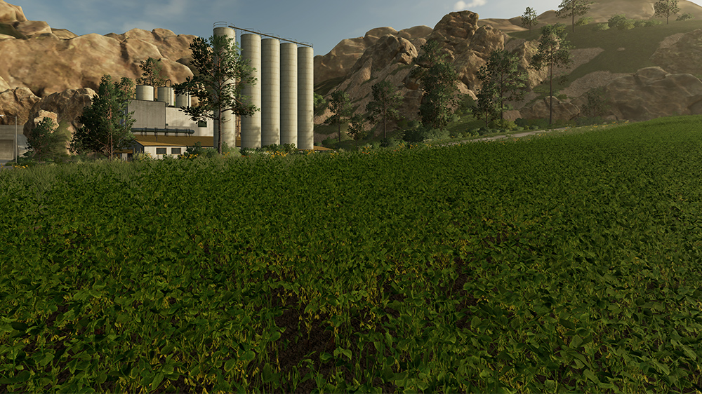 FS23 Soybeans