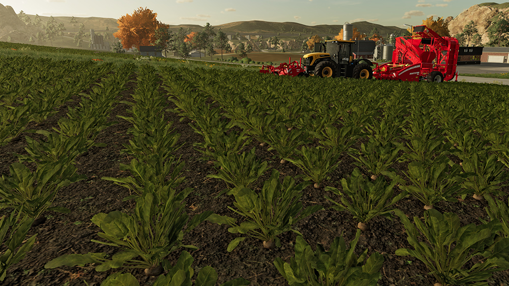 FS23 Sugar Beet