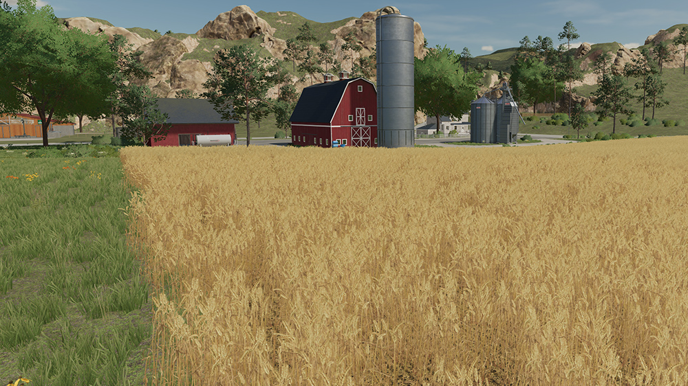 FS23 Wheat